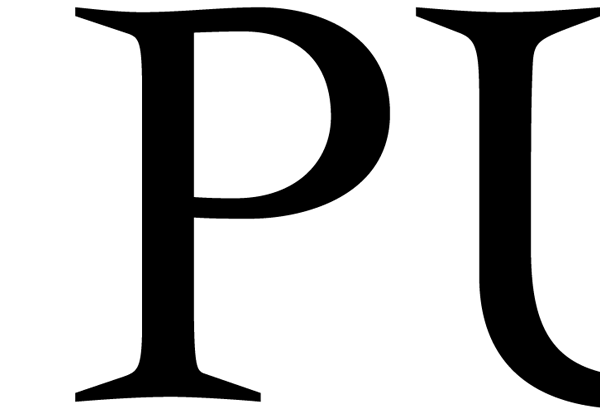 Puig_Logo