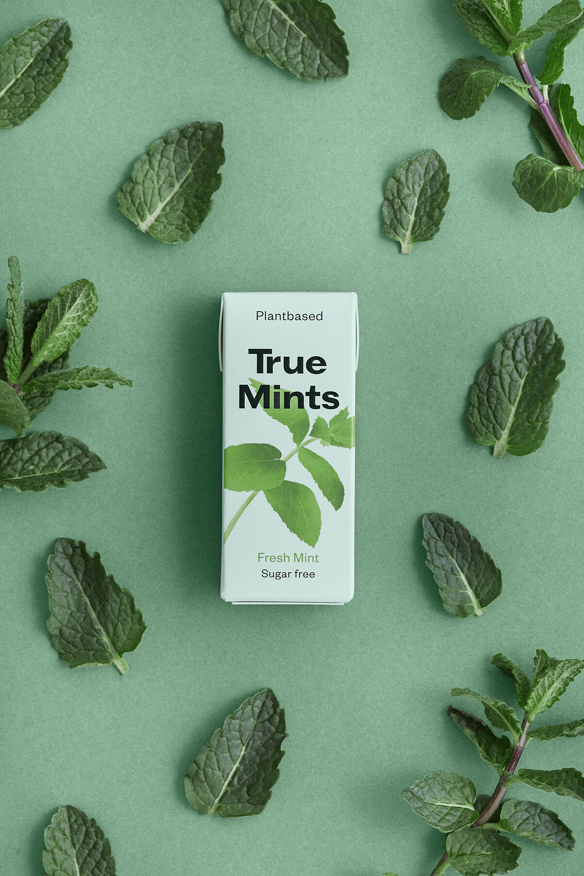 True Mint Pack 1